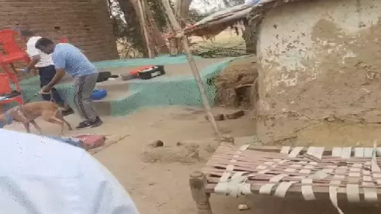 BB