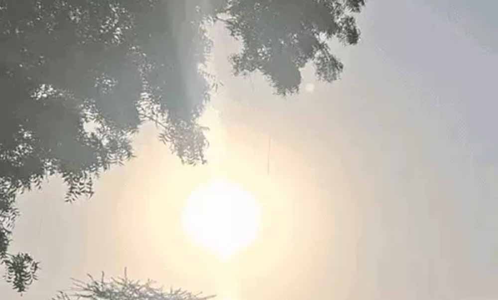 Chhattisgarh_News_02-3-8.jpg