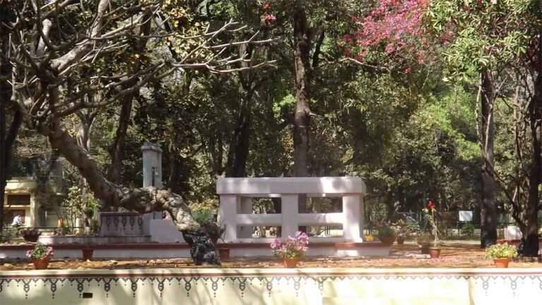 Chhattisgarh_News_06-2-9.jpg