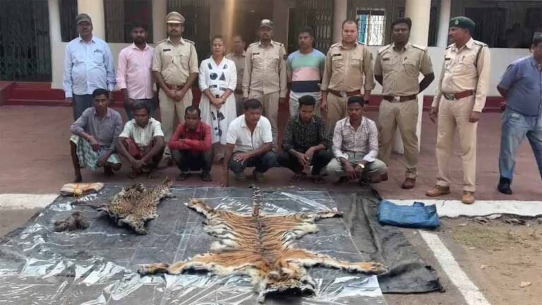 Chhattisgarh_News_09-2-4.jpg