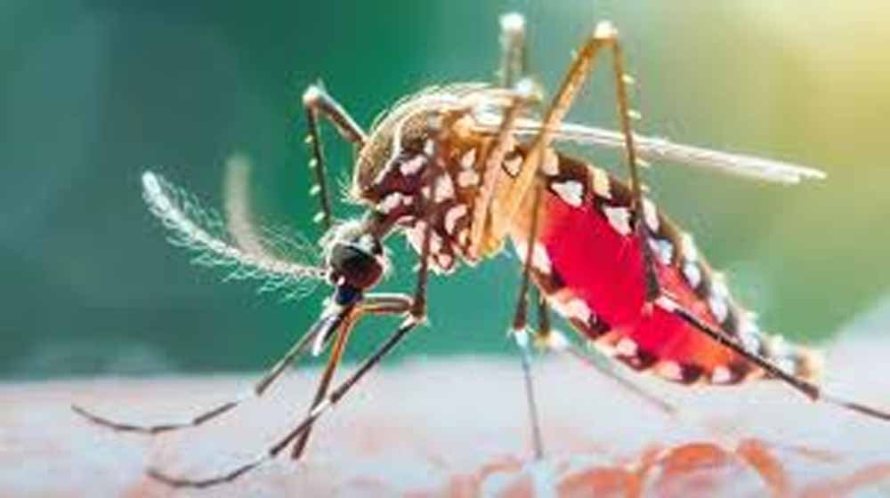 Chhattishgarh_News_02-2.jpg
