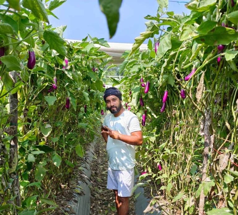 Farming_02.jpg