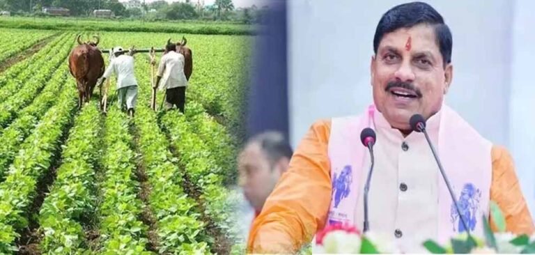 Kisan_03.jpg