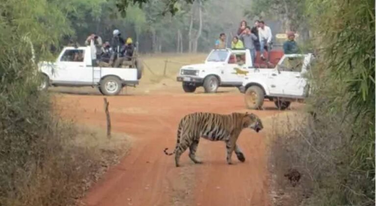 Chhattisgarh_News_05-1-7.jpg