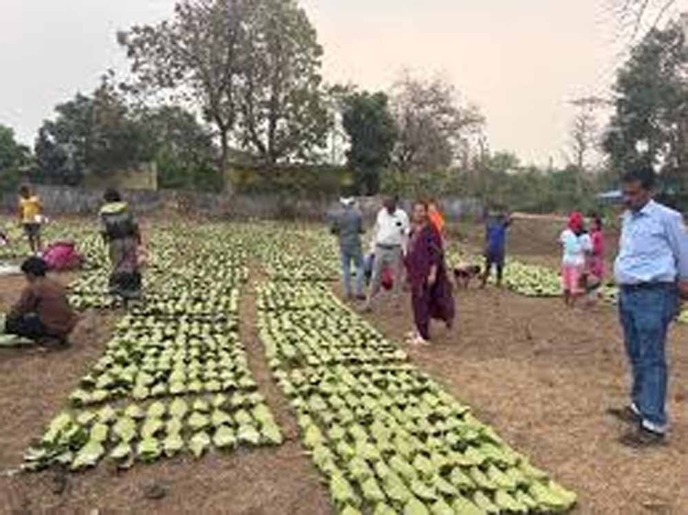 Chhattisgarh_News_05-2-25.jpg