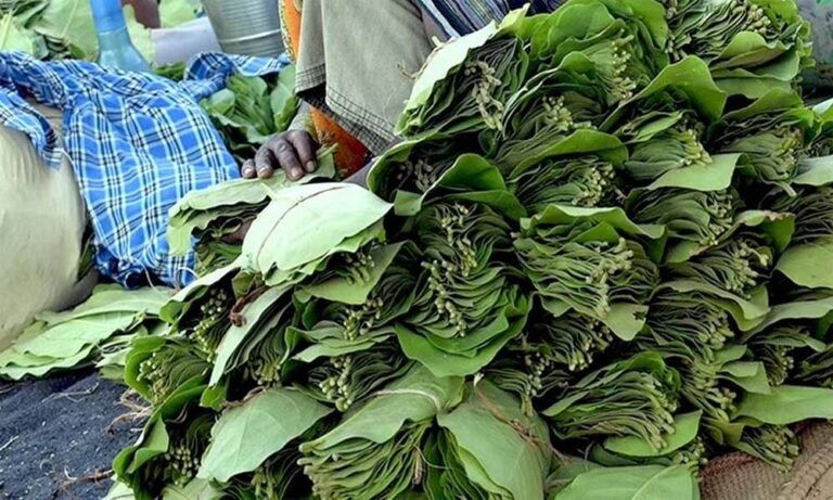 Chhattisgarh_News_09-2-13.jpg