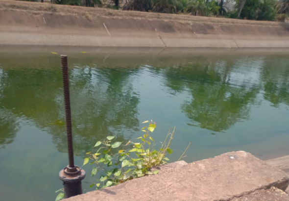 सुशासन तिहार में ग्रामीणों की मांग पर तांदुला जलाशय से नदी और नहरों में छोड़ा गया पानी