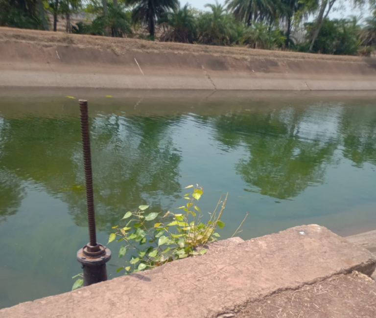 सुशासन तिहार में ग्रामीणों की मांग पर तांदुला जलाशय से नदी और नहरों में छोड़ा गया पानी