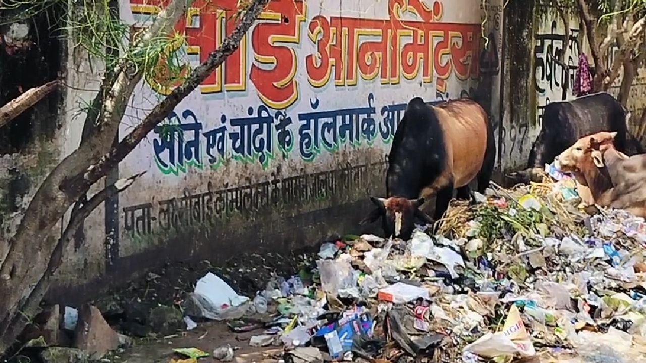 राजनांदगांव : वीआईपी रोड में सड़क किनारे में ही दुकानदार फेंक रहे कचरा, सफाई हो…