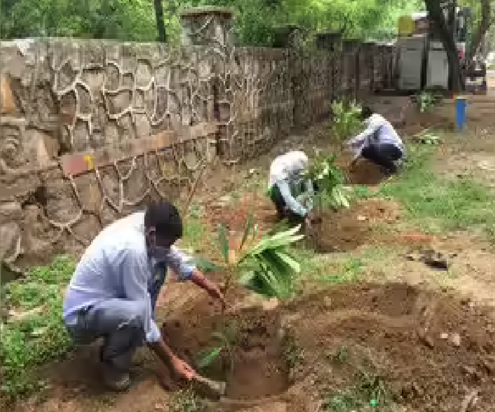 राजनांदगांव : सार्वजनिक व खाली स्थानों पर हरियाली बढ़ाने लगाए गए पौधे…