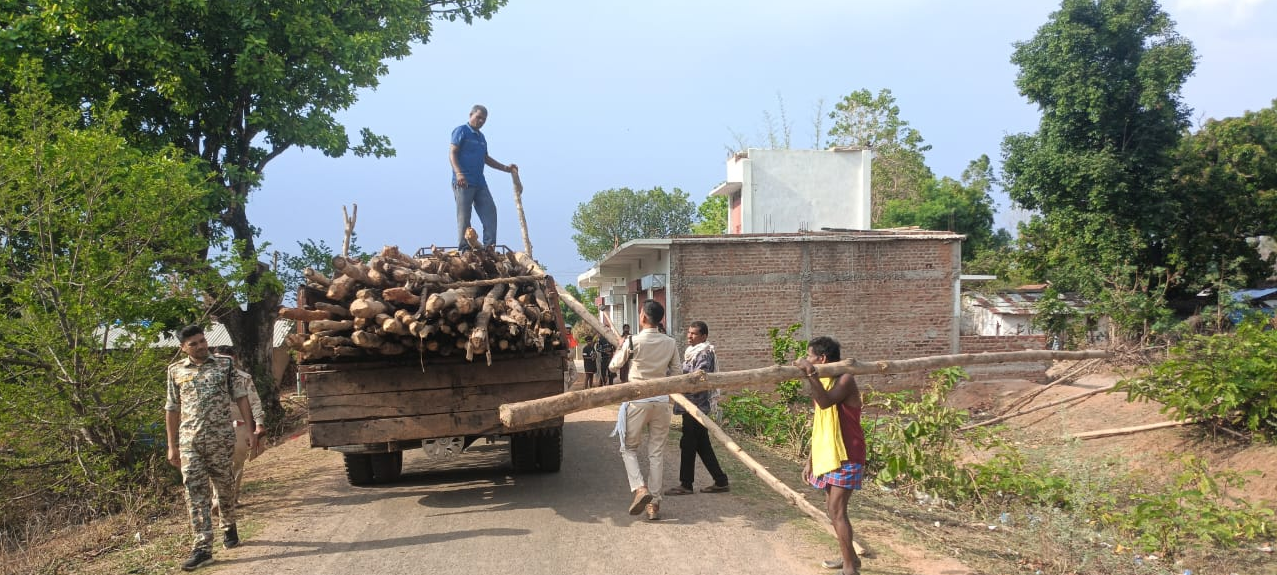 गौरेला क्षेत्र में सागौन की अवैध कटाई पर वन विभाग की बड़ी कार्रवाई