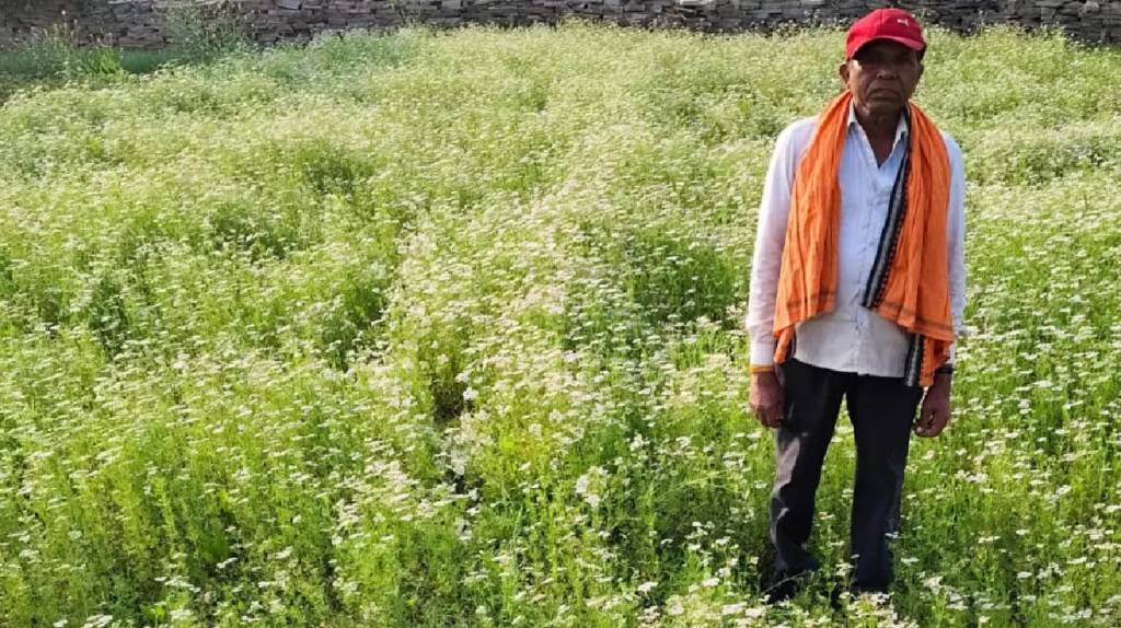 CG : धनिया की खेती से किसान की बढ़ी आय