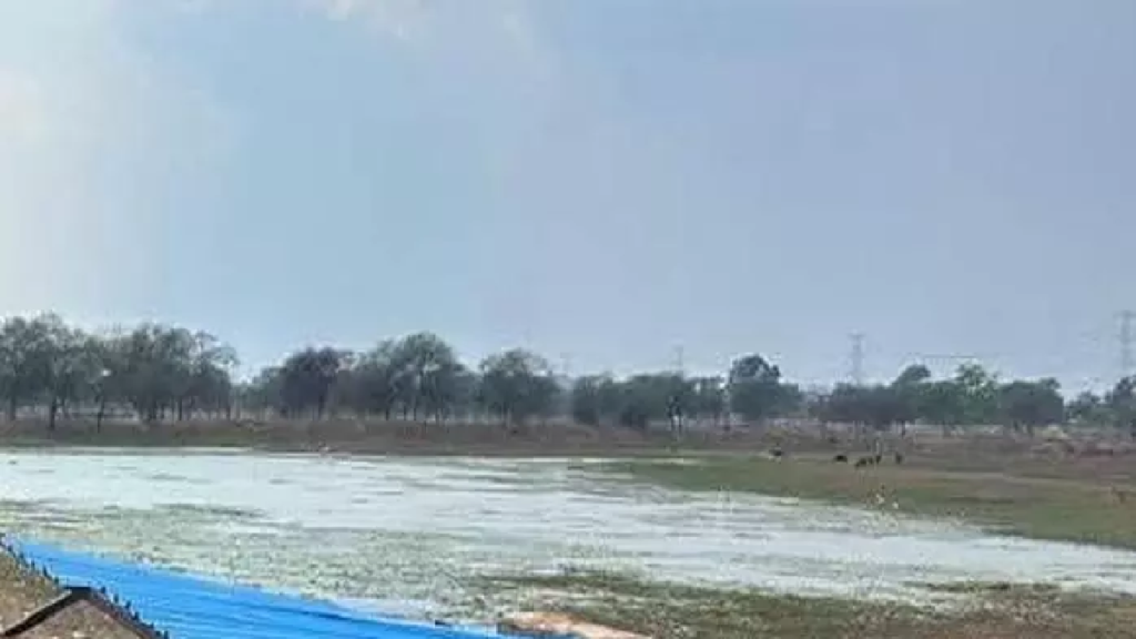 राजनांदगांव : तालाब किनारे चला बुलडोजर, अतिक्रमण मुफ्त …