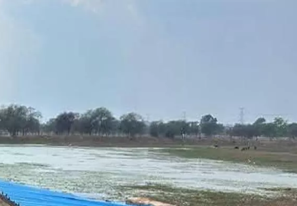 राजनांदगांव : तालाब किनारे चला बुलडोजर, अतिक्रमण मुफ्त …