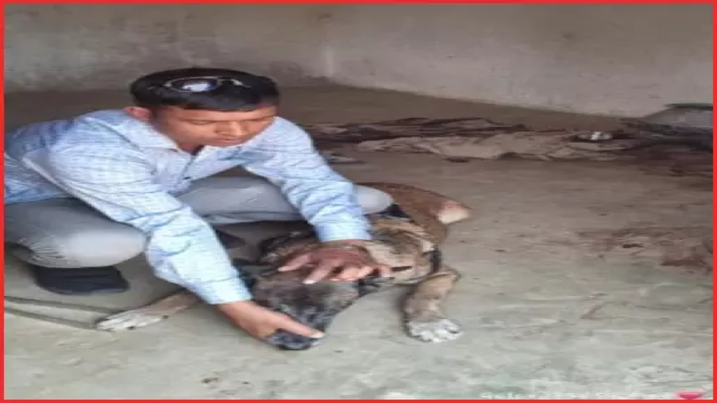 CG : हत्या कर दुकान पहुंचा आरोपी, स्निफर डॉग की मदद से मर्डर का खुलासा …