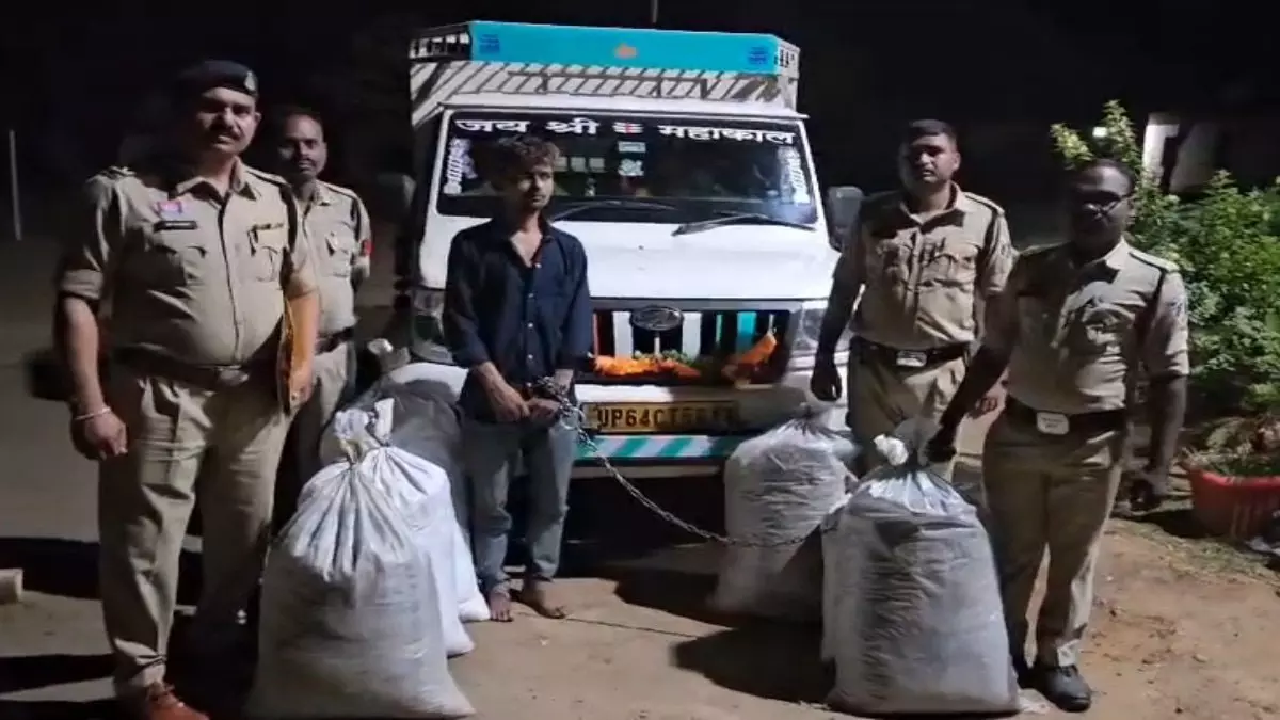 CG : सब्जी कैरेट से फिर गांजा तस्करी की कोशिश, गरियाबंद पुलिस ने फेरा पानी …