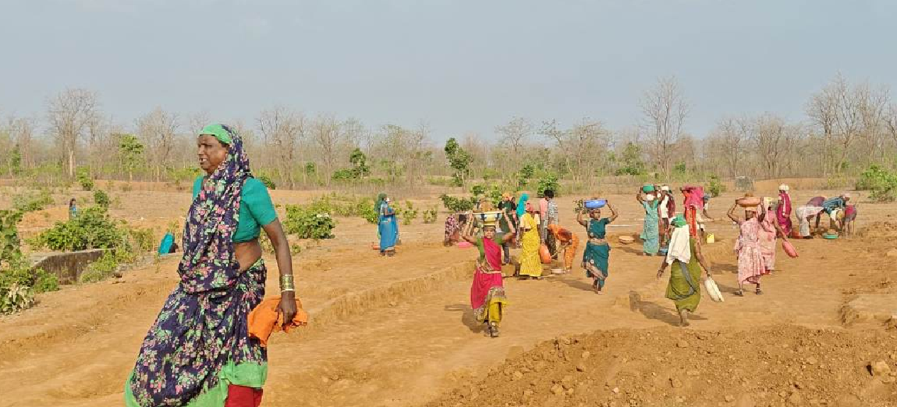 CG : मनरेगा से रोजगार और जल संरक्षण का लक्ष्य एक साथ हो रहा पूरा …