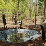 CG : भीषण गर्मी से वन्यजीवों पर संकट, वन विभाग सतर्क …