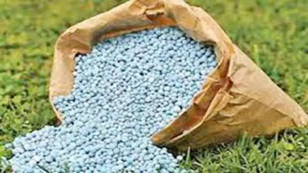 CG : धान फसल में संतुलित उर्वरकों के उपयोग हेतु बनाए गए 5 समूह …