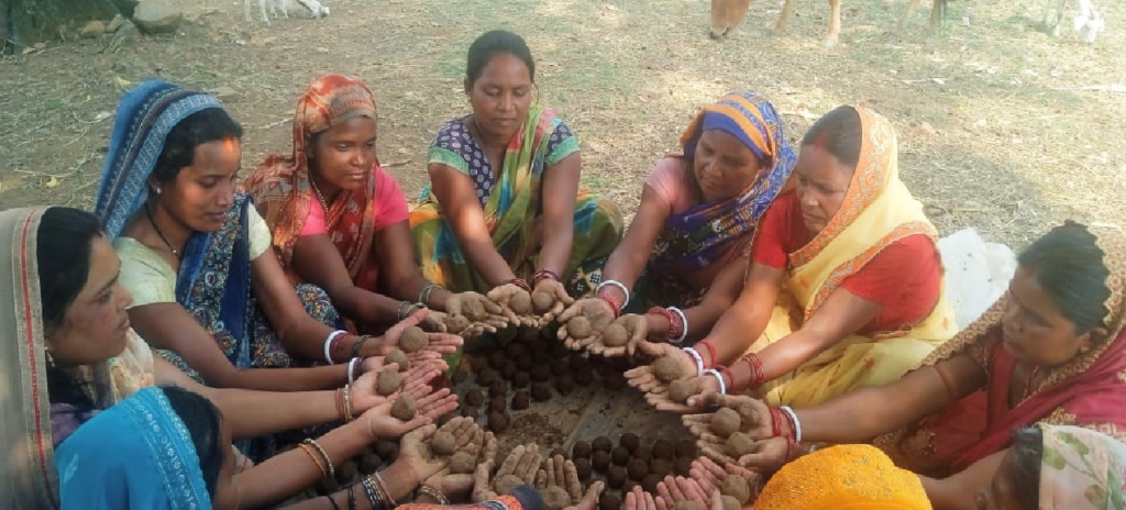 सीड बॉल बनाकर प्रकृति संरक्षण की अनूठी पहल, हरित जशपुर के निर्माण पर जोर