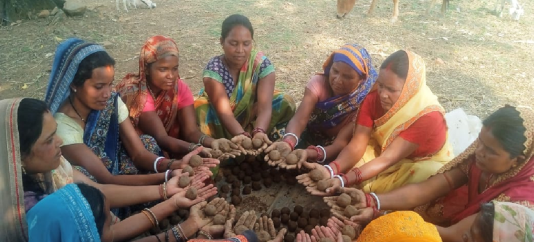 सीड बॉल बनाकर प्रकृति संरक्षण की अनूठी पहल, हरित जशपुर के निर्माण पर जोर