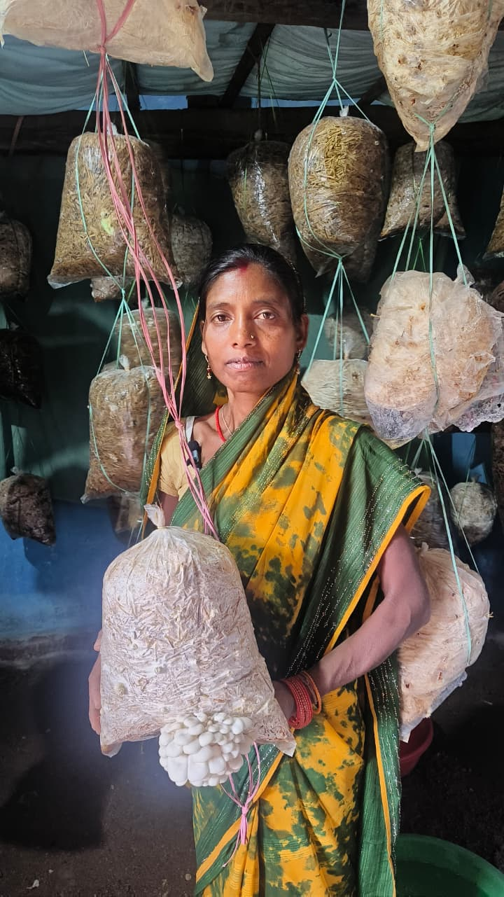 फोटो कॉपी और मशरूम एवं महुआ व्यवसाय से बबली यादव की बढ़ी आय