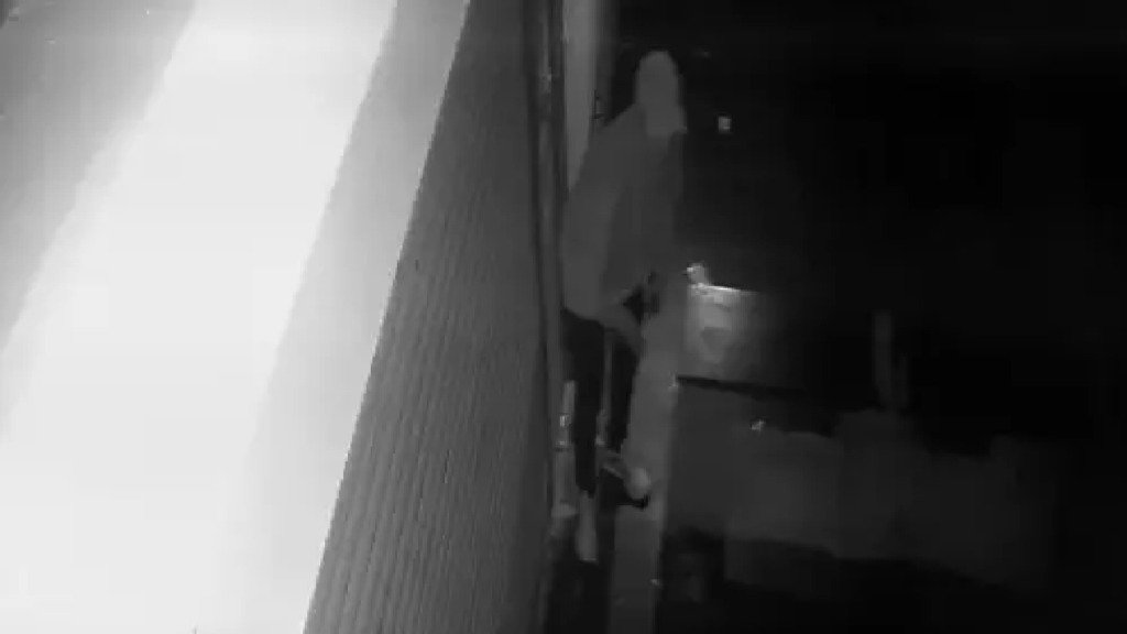 CG : दवाई दुकानों में चोरी, CCTV में नकाबपोश कैद …