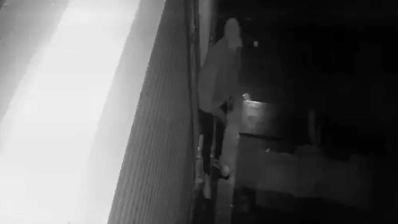 CG : दवाई दुकानों में चोरी, CCTV में नकाबपोश कैद …