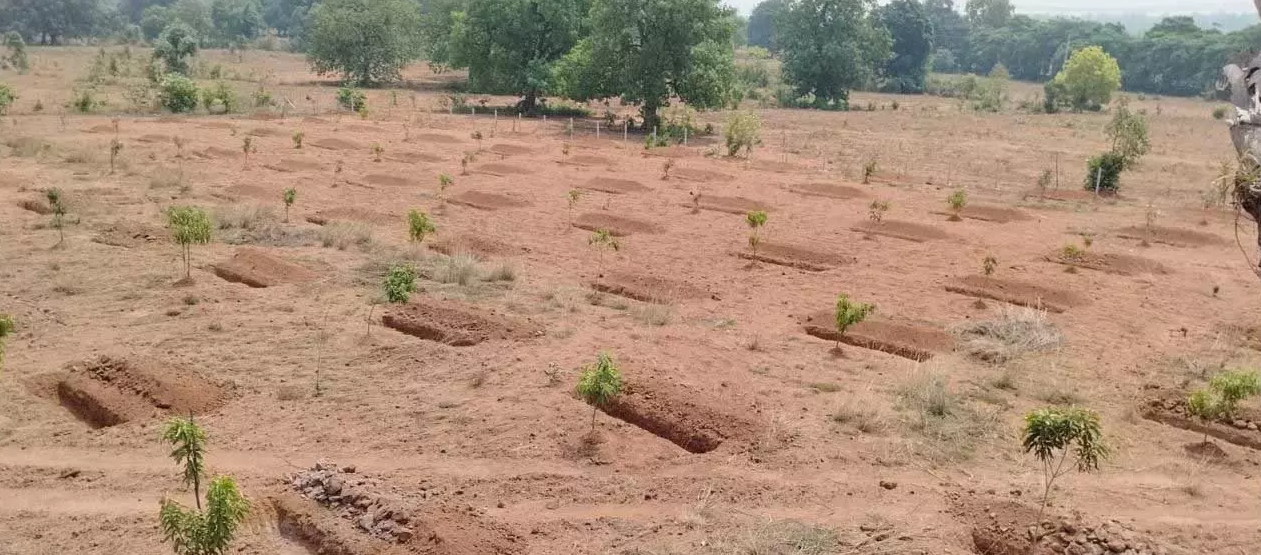 CG : जल संरक्षण का महाअभियान : मनरेगा से गांवों में बढ़ रहा जल भंडार, हरियाली और आजीविका …