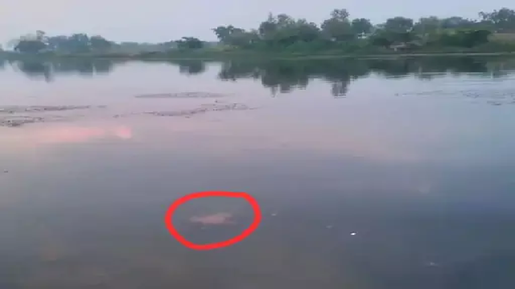 CG : एनीकट में डूबने से युवक की मौत …