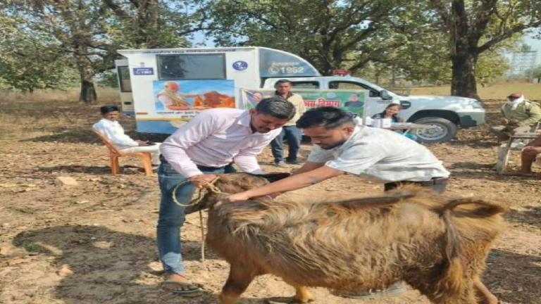 एक कॉल पर घर पहुंच रही पशु चिकित्सा सेवा, ग्रामीण पशुपालकों के लिए वरदान बनी मोबाइल यूनिट ...