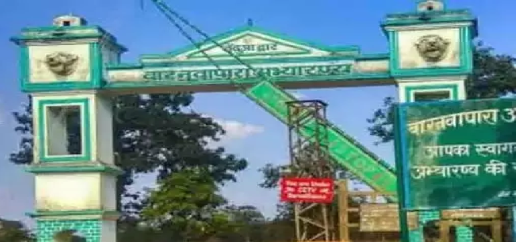 CG : छत्तीसगढ़ के सभी टाइगर रिजर्व, राष्ट्रीय उद्यान और अभ्यारण्य पर्यटकों के लिए बंद …