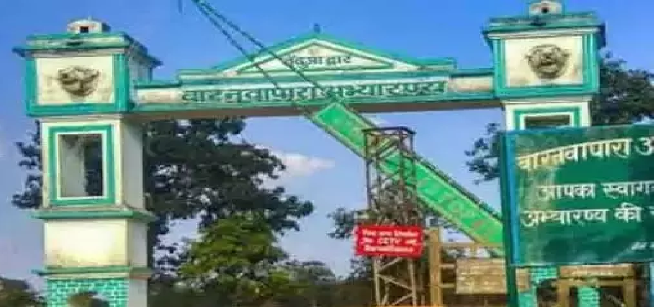 CG : छत्तीसगढ़ के सभी टाइगर रिजर्व, राष्ट्रीय उद्यान और अभ्यारण्य पर्यटकों के लिए बंद …