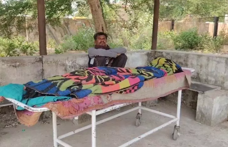 CG : मधुमक्खियों का कहर: सास की मौत, दामाद जिंदगी और मौत के बीच जूझ रहा …