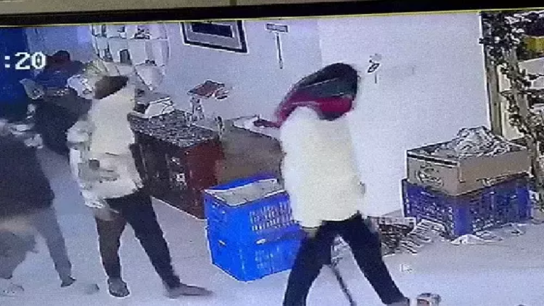CG :फार्म हाउस में 7 लाख की चोरी, हथियारबंद बदमाश CCTV में कैद …