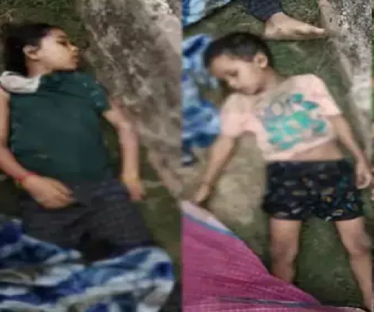 CG : चरवाहे समेत 3 की मौत, छत्तीसगढ़ में आकाशीय बिजली का कहर …