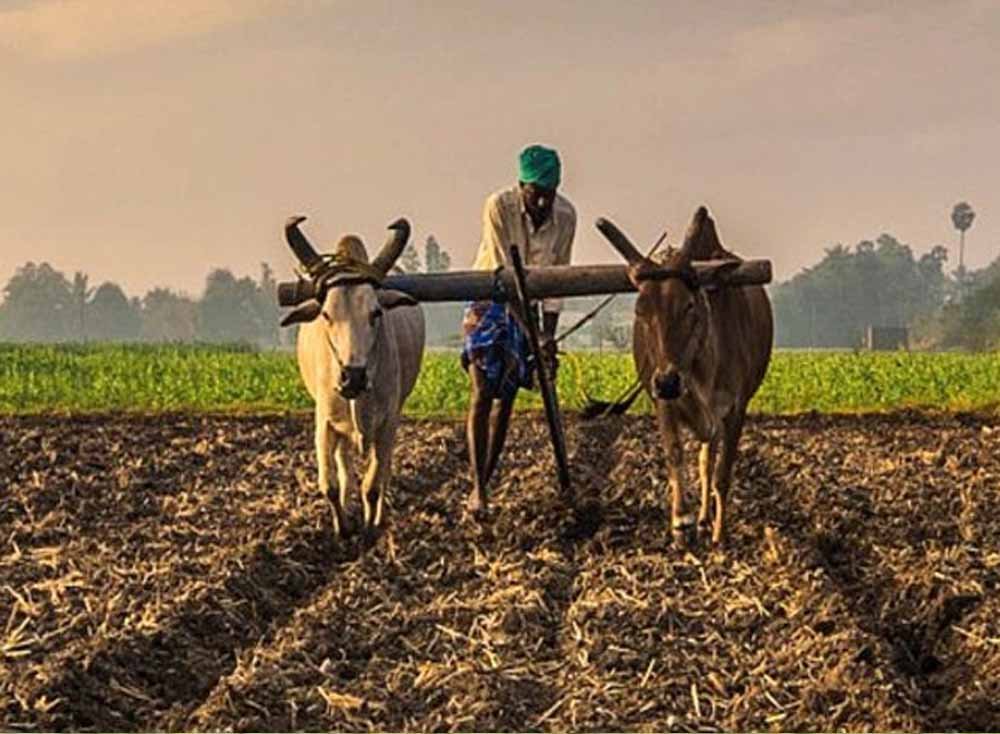 Chhattisgarh_News_04-3-21.jpg