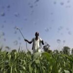 Kisan_03-1.jpg