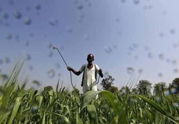 Kisan_03-1.jpg