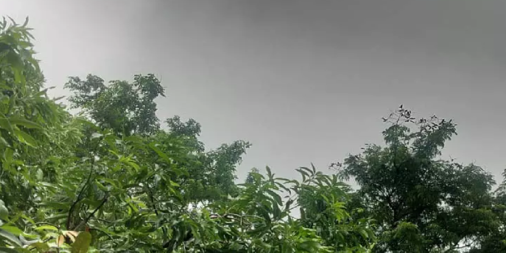 CG : छत्तीसगढ़ समेत कई राज्यों में हो रही भारी बारिश, IMD का अलर्ट …