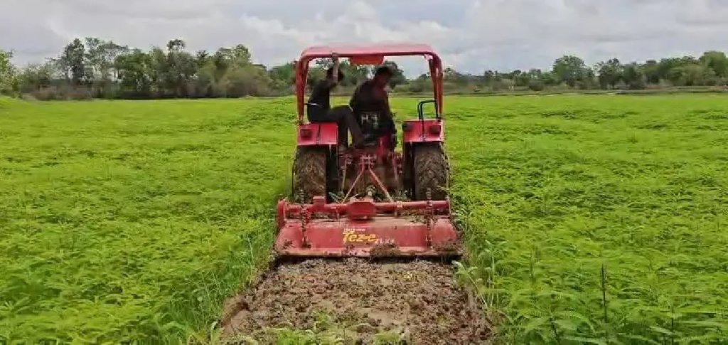 CG : हरी खाद से संवर रही खेतों की सेहत, प्राकृतिक खेती की मिसाल बने किसान नरेंद्र सिंह …