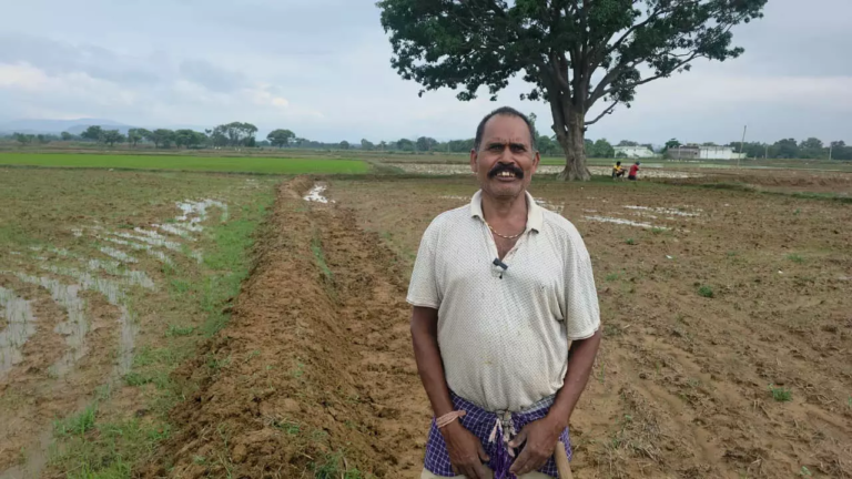 CG : शासन की जनकल्याणकारी योजनाओं से बदल रही भूमिहीन परिवारों की जिंदगी …
