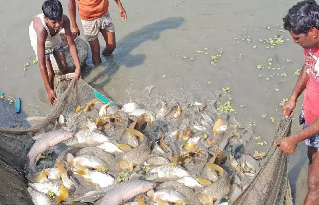 CG : 15 अगस्त तक मत्स्याखेट पूर्ण रूप से प्रतिबंधित …