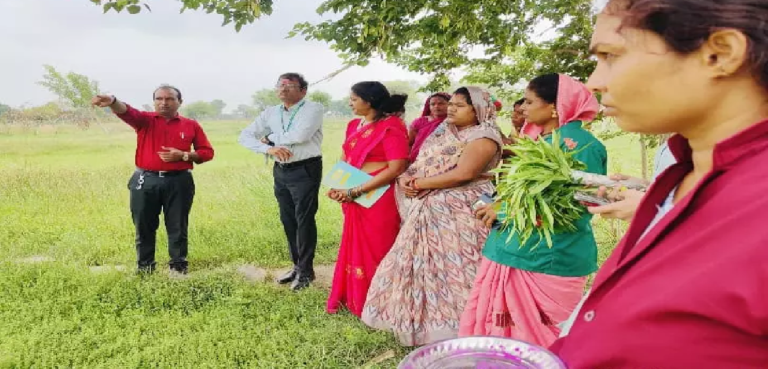 CG : धमतरी मॉडल बना देश के लिए प्रेरणा …
