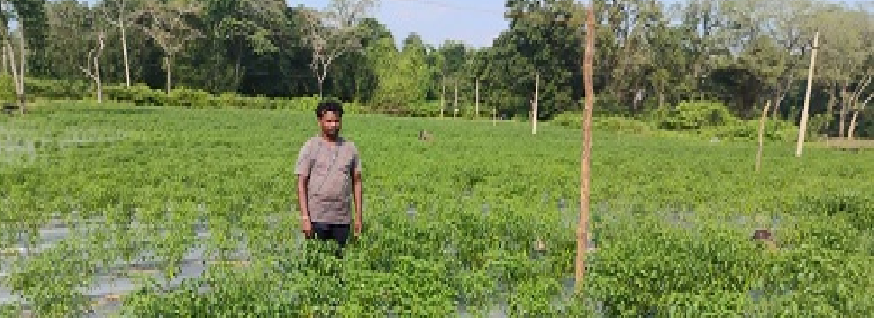 CG : बीजापुर के दूरस्थ ग्राम मंडेम को मिली डिजिटल कनेक्टिविटी की सौगात …