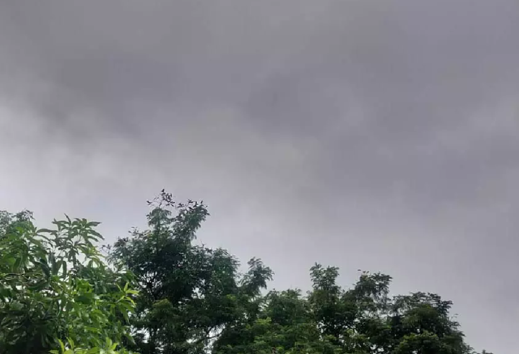 CG : छत्तीसगढ़ में हल्की बारिश कल से जारी, आज कहीं-कहीं तेज बारिश होने का अलर्ट …