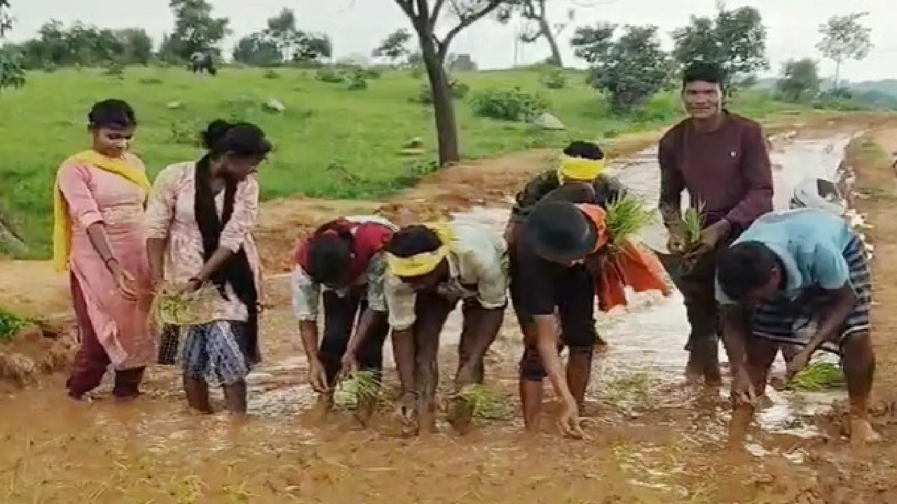 CG : अधूरी सड़क पर ग्रामीणों ने की धान की रोपाई, निर्माण में लापरवाही के खिलाफ अनोखा प्रदर्शन …