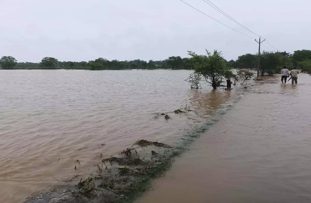 CG : महासमुंद में मानसून मेहरबान: जिले में अब तक 724.7 मिमी औसत वर्षा …