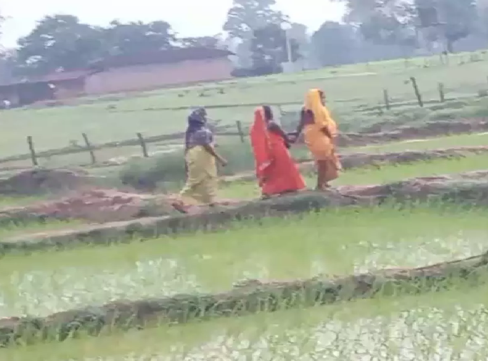 CG: खेत बना प्रसूति कक्ष, गर्भवती ने खेत में दिया बच्चे को जन्म …