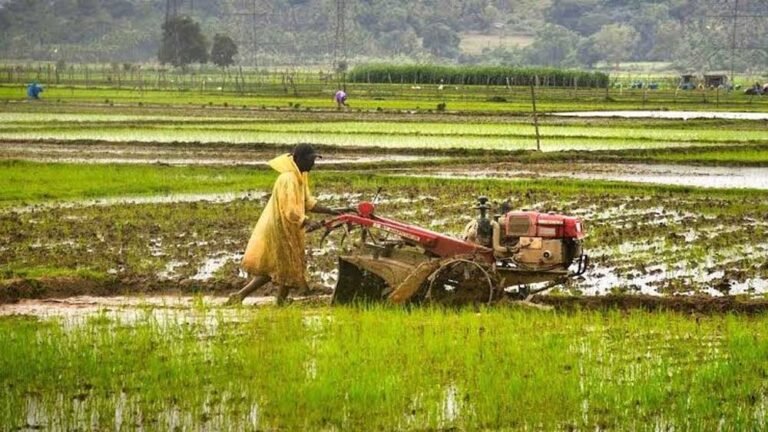 kISAN_02-3.jpg